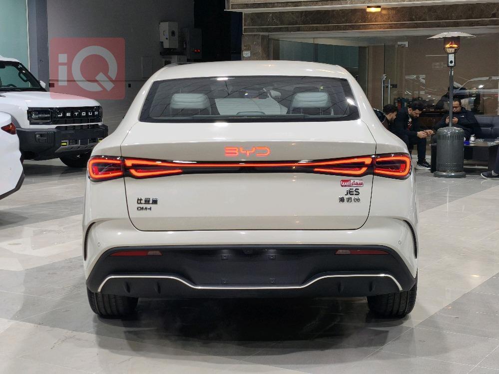 بي واي دي سيل 06 DM-i